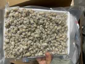 Carne de Almeja Bebé Vietnamita Premium, Cocida y Lista para Comer, Ideal para Salteados, Sopas, Papillas y Arroz - 1 kg, Envasada al Vacío y Congelada - Product Image 4