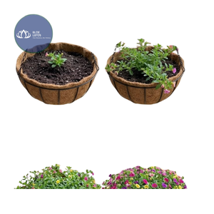BEST SELLER Panier suspendu de haute qualité fait à la main avec revêtement PE, capacité de charge de 1 kg, fournitures de jardin - Product Image 4