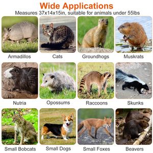 Trappola Pieghevole 37x14x15 pollici per Animali Vivi, Gabbia Umana per Catturare e Rilasciare Gatti, Procioni, Coyote, Cani Randagi, in Ferro Zincato - Product Image 3
