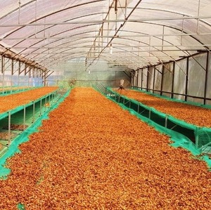 โรงงานเวียดนามจำหน่ายเมล็ดกาแฟอาราบิก้าคั่วกลาง DALAKON ยอดขายดีที่สุด บรรจุในถุงพร้อมตัวอย่างฟรี - Product Image 5