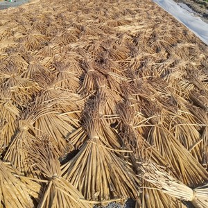 Corde en fibre de jacinthe d'eau naturelle du Vietnam séchée pour paniers faits à la main, tapis d'ameublement et artisanat décoratif - Product Image 6