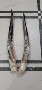 Real Buffalo Pear Horn High Quality <b>Hand</b> <b>Made</b> with Polished Custom Size Low Price and Real Cow Horn Pair Top Sales - Product Image 3