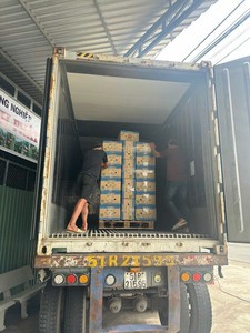 Sandía sin Semillas de Vietnam – Alto Contenido de Brix, Pulpa Roja Jugosa, Calidad de Exportación para Distribución Global - Product Image 4