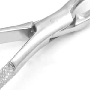 Forceps d'extraction manuels américains n° Instrument chirurgical dentaire pour l'extraction des 7 molaires supérieures, en acier inoxydable, certifié CE - Product Image 6