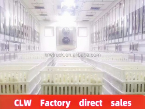 Nouvelle marque célèbre Isuzu Intelligent Live Baby Chick Day Old Poulet Volaille Camion de livraison à vendre - Product Image 6