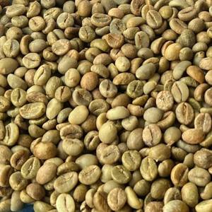 Granos de Café Verde Robusta de Vietnam, Origen Directo, Tamaño 16 AA+, Sabor Rico y Intenso, Grano de Café con Notas de Miel S16, S18, Suministro de Fábrica - Product Image 2