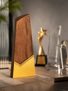 Regalos Corporativos de Cristal y Vidrio Pulido Ecológicos de Diseño Personalizado - Placa de Premios y Trofeos Moderna y Elegante con Logotipo Grabado - Product Image 5