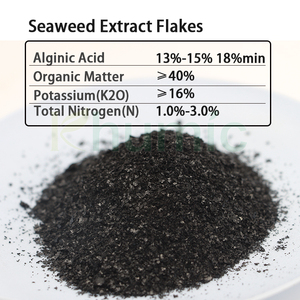 สารสกัดจากสาหร่ายทะเลชนิดเกล็ด สารกระตุ้นการเจริญเติบโตทางชีวภาพ ได้จากสาหร่าย Ascophyllum Nodosum สด สารสกัดจากสาหร่ายทะเลที่ละลายน้ำได้ 100% <span class=keywords><strong>ปุ๋ย</strong></span>จากสารสกัดจากสาหร่าย - Product Image 2