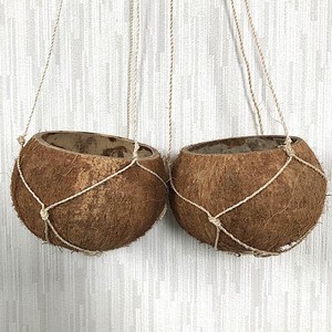 Outdoor flower plant <b>pots</b> <b>large</b> planter <b>pot</b> garden decoration natural coconut shell planters - Product Image 4