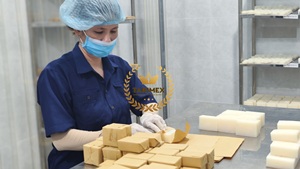 ขี้ผึ้งมะพร้าวบริสุทธิ์100% สำหรับทำเทียน Takimex อุปกรณ์แต่งกลิ่นหอมระดับโลกจากเวียดนาม - Product Image 6