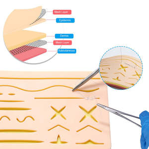 Kit de pratique de la suture tout-en-un pour étudiants en anatomie, biologie et médecine, avec fils de suture par Dentavex - Product Image 2