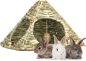 Nichoir pliable en herbe tressée pour lapin, abri triangulaire pour petits animaux, jouet à mâcher, tapis à foin, lit pour lapin, cochon d'Inde, hamster, cage - Product Image 4