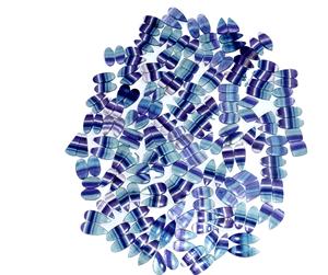 Meilleure Qualité de Cabochons en Fluorite Naturelle en Vrac, Formes Mixtes, Quartz Grade AAA, Tailles Personnalisables pour la Fabrication de Bijoux - Product Image 1