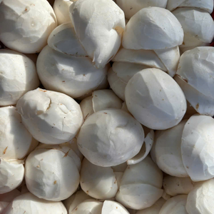 Carne de Coco Congelada IQF Natural Blanca de Vietnam para Alimentos, para Barras de Snacks Saludables y Mejorar el Aspecto de los Platos, por 99 Gold Data - Product Image 4