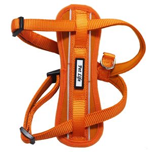 Pettorina Riflettente per Cani Mountaineer, Facile da Indossare, Regolabile con Compressione Toracica per Animali Attivi - Product Image 3