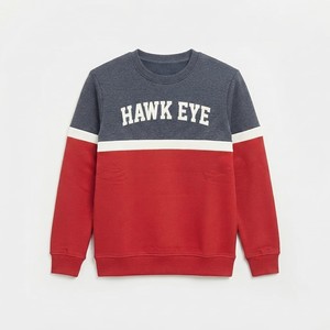 HAWK EYE SPORTS Sweat à capuche décontracté pour homme Nouvelle mode 350g Coupe droite épaules tombantes Col montant Motif imprimé Automne - Product Image 3
