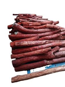 ไม้จันทน์แดง (Pterocarpus Santalinus) เกรด AA คุณภาพพรีเมียม สำหรับใช้ในอุตสาหกรรม ยี่ห้อ CRADLE of LIFE จากอินเดีย - Product Image 3