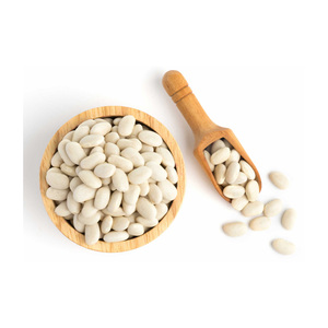 Frijoles Blancos de la Mejor Calidad en Venta a Precio Económico, Frijoles Blancos al Por Mayor a Precio Económico, Los Mejores Frijoles Blancos en Venta al Por Mayor - Product Image 4