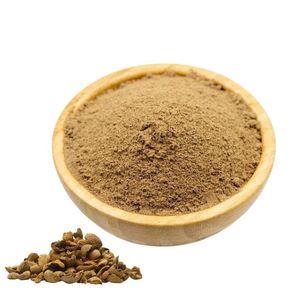 Polvo de Fruta Baheda al por Mayor, Polvo Herbal Natural de Baheda, Proveedor de Polvo de Baheda Tradicionalmente Utilizado en el Bienestar Herbal para una Digestión Saludable - Product Image 5