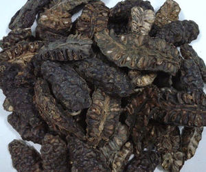 Noni séché de qualité export pour la préparation de thé, le broyage en poudre et l'approvisionnement en ingrédients commerciaux - Product Image 3