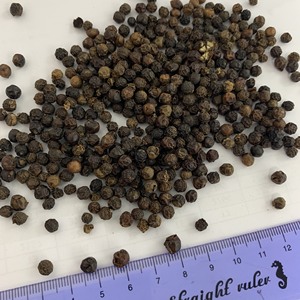 พริกไทยดำราคาถูกที่สุดในเวียดนามเครื่องจักรคุณภาพสูง5มม. สไตล์แห้งพร้อมส่งออกเวียดนาม-WS + 84359166896 - Product Image 3