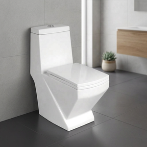 Export Quality Washdown Ceramic One-Piece Water Closet Toilet WC Commode Set - Made In India Sanitary Ware - Product Image 5