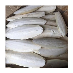 Hueso de Sepia Seco Natural para Aves y Reptiles |   Suplemento de Calcio Premium |   Suministro al por Mayor al Mejor Precio OEM [Liam +84865912655] - Product Image 6