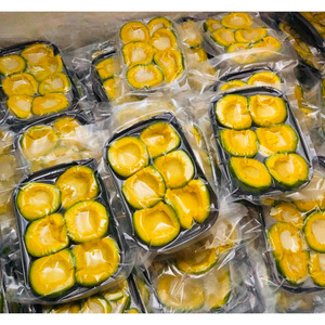 AGUACATE CONGELADO IQF PREMIUM - PROVEEDOR DE VIETNAM MEJOR PRECIO - Product Image 1