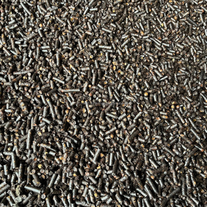 EXTRACTO DE CÁSCARA DE ANACAR KMI |   RESIDUO DE CÁSCARA DE ANACAR - MEJOR PRECIO PARA PEDIDOS AL POR MAYOR - SUMINISTRO ESTABLE - Product Image 4