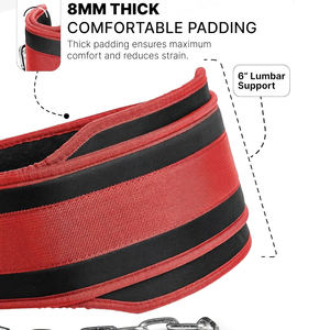 Cinturón de Neopreno Reforzado para Levantamiento de Pesas, Entrenamiento en Gimnasio, Ejercicios de Alta Intensidad, Transpirable, Portátil, Unisex - Product Image 3