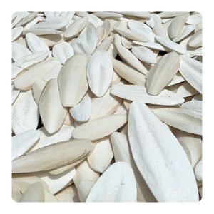 Hueso de Sepia de Alta Calidad, Precio Mayorista Económico, Alto Contenido de Calcio, Hueso de Sepia Natural, Exportación Premium, Suministro a Granel de Fábrica - Product Image 1