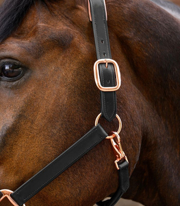 High Quality Premium Italian Leather Horse Head Collar Anatomic X-Line Halter Comfort Durability Rose Gold <b>Hardware</b> Riding - Product Image 3