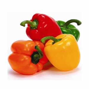 ผู้จัดจำหน่ายพริกหวานสดคุณภาพดีที่สุด - Product Image 5