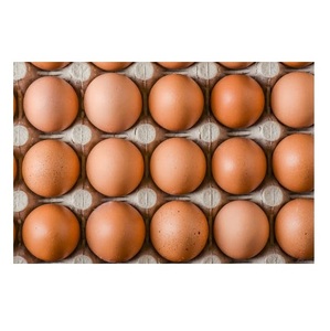 Fresh White and brown <b>eggs</b> | fresh table <b>eggs</b> for sale - Product Image 1