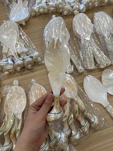 Cuillère décorative en coquillage à surface lisse pour la mise en scène de table, la décoration de spa et les projets d'intérieur côtiers - Product Image 6