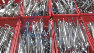 Ensemble de forceps d'extraction dentaire en acier inoxydable, poignée moletée manuelle, instruments chirurgicaux de classe I - Product Image 3