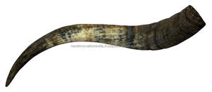 Trending Viking Nautical Animal Style Artesanía Real Buffalo Ox Horn Cerveza Beber Decoración Pulido Tallado Artesanías naturales - Product Image 2