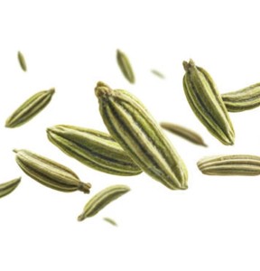 Especias Secas Enteras de Foeniculum Vulgare a Granel para Producción de Panadería, Ingrediente Culinario Natural de Alto Aroma, Gran Suministro - Product Image 3