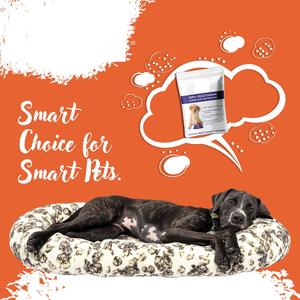 Alimento Seco para Perros y Gatos Mayores de Marca Privada OEM, Fórmula Natural para Razas Grandes, Premium, Alto en Proteínas, Refuerzo Inmunológico, Nutrición Saludable - Product Image 5