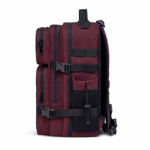 Mochilas Deportivas Tácticas Molle Webbing con Capacidad de 25 Litros, Bolsillos Laterales Dobles para Botellas, Precio al por Mayor, Mochila de Gimnasio Crossfit - Product Image 3