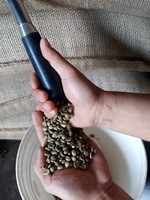 Café Vert Robusta Arabica Certifié ISO 22000 du Premier Exportateur Vietnamien, Grade G1, Marque AGRIKIM, Grains de Haute Qualité