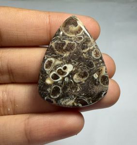Lot en gros d'agates cabochons TURRITELLA au poids, avec différentes formes et tailles, utilisées pour la fabrication de bijoux, pierre TURRITELLA - Product Image 1