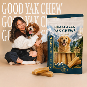 OEM ODM Golosinas de Leche de Yak del Himalaya para Perros, Premios Naturales para la Salud Dental y Articular, Altos en Calcio y Proteínas, Sin Gluten, Sin Granos - Product Image 6