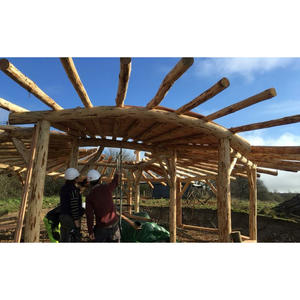 Poteaux ronds en bois d'eucalyptus en gros, bois de construction en vrac, poteaux en bois dur, poteaux de fondation, fournisseur export - Product Image 1