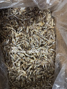 Anchoas Secas de Vietnam para Exportación a Mercado Global - Product Image 4