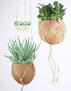 Panier suspendu en coquille de noix de coco naturelle fait main, pot de fleurs décoratif en fibre de coco avec chaîne - Product Image 3