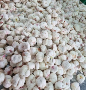 Freeze Dried Mangosteen Natural Tropical Fruit FD Drying Process Crispy Snack Vietnam Bulk Dried Fruits Export Supply - Product Image 1