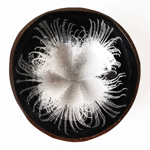 Bol en noix de coco laqué de haute qualité, léger, durable et brillant, fabriqué à la main à partir de coquilles naturelles pour la décoration de la maison - Product Image 4