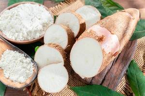 Almidón de Tapioca Vietnamita de Buena Calidad, Puro, Versátil, Saludable e Ideal para el Procesamiento y Exportación de Alimentos - Product Image 6