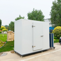 ZSTR Commercial Coldroom Walk in Cooler Chiller Room Walk-in Congélateur Cold Storage